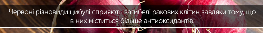 cibulia zhervona