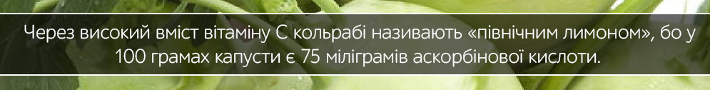 kapusta kolrabi