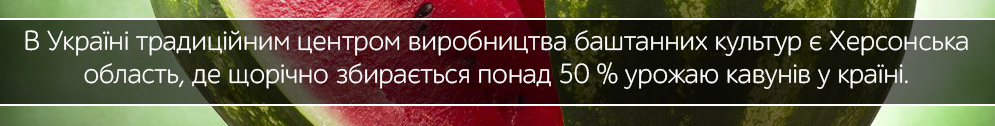 kavun