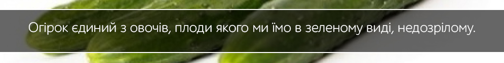 ogirok aziatskii