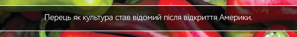 perec mini kubividnii