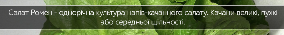 romen salat