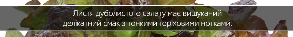 salat dubolistii